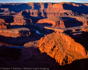 Canyonlands From Dead Horse Point, Utah (4x5)